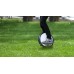 Моноколесо Ninebot by Segway One S2